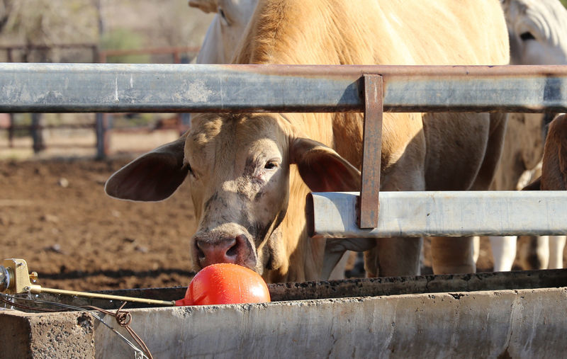 Philmac Float Product Training module displaying agricultural float valves with instructional graphics and Philmac branding